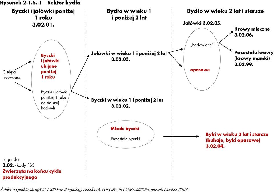 Byczki i jałówki poniżej 1 roku do dalszej hodowli Byczki w wieku 1 i poniżej 2 lat 3.02.