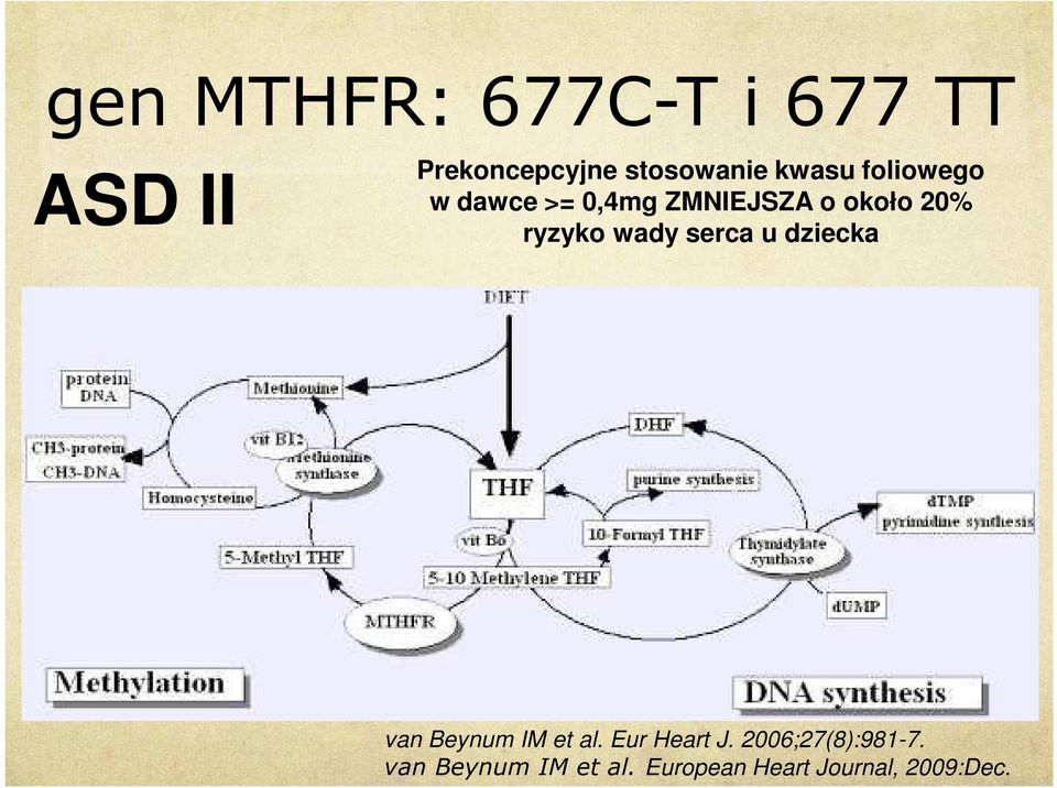 wady serca u dziecka van Beynum IM et al. Eur Heart J.