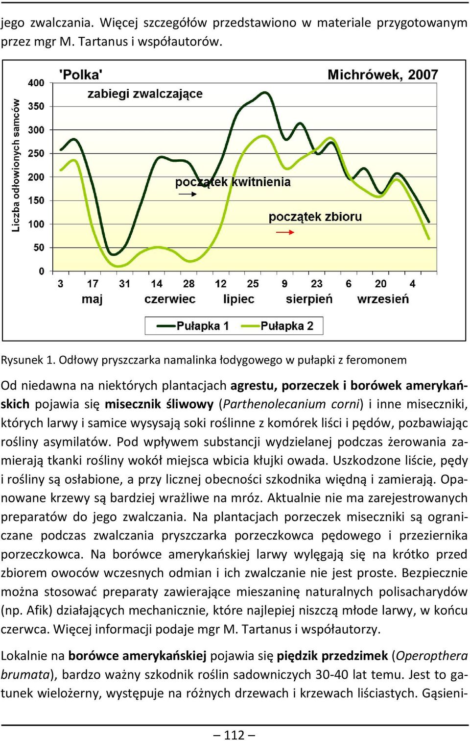 inne miseczniki, których larwy i samice wysysają soki roślinne z komórek liści i pędów, pozbawiając rośliny asymilatów.