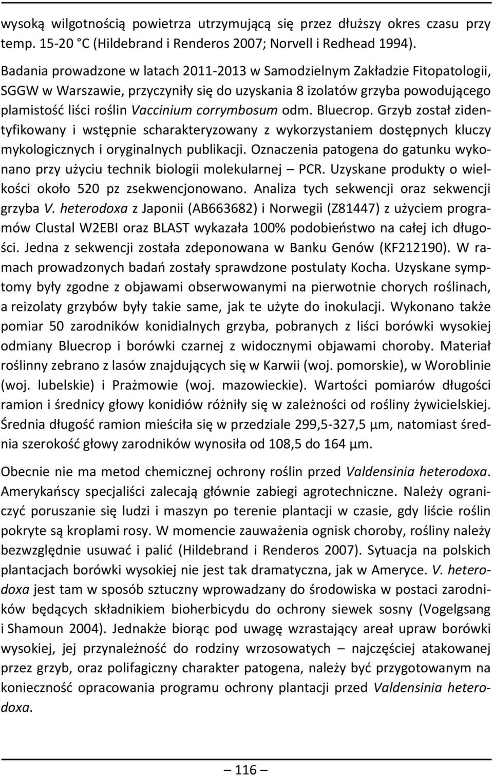 corrymbosum odm. Bluecrop. Grzyb został zidentyfikowany i wstępnie scharakteryzowany z wykorzystaniem dostępnych kluczy mykologicznych i oryginalnych publikacji.