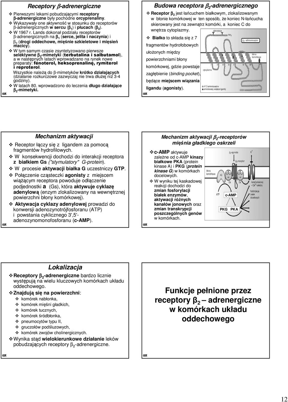 Lands dokonał podziału receptorów β-adrenergicznych na β 1 (serce, jelita i naczynia) i β 2 (drogi oddechowe, mięśnie szkieletowe i mięsień macicy).