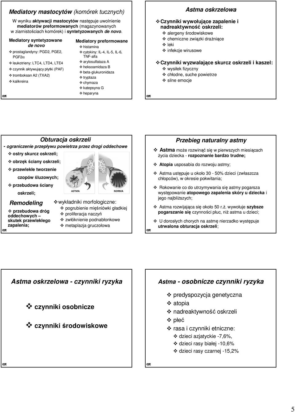 cytokiny: IL-4, IL-5, IL-6, TNF-alfa arylosulfataza A heksoamidaza B beta-glukuronidaza tryptaza chymaza katepsyna G heparyna Astma oskrzelowa Czynniki wywołujące zapalenie i nadreaktywność oskrzeli: