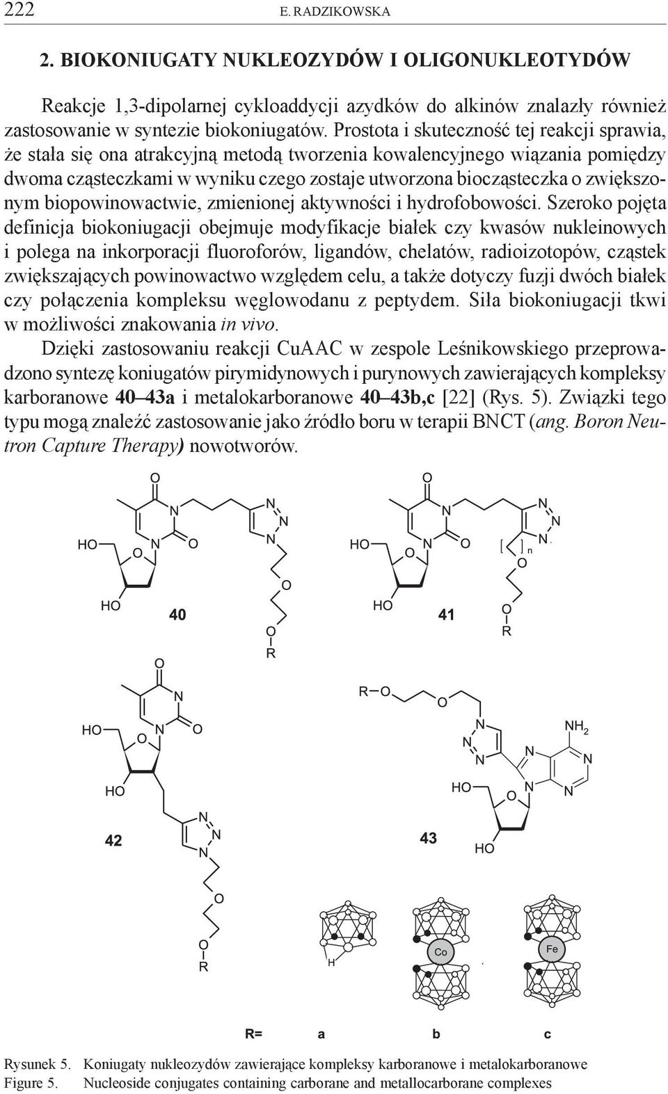 zwiêkszonym biopowinowactwie, zmienionej aktywnoœci i hydrofobowoœci.