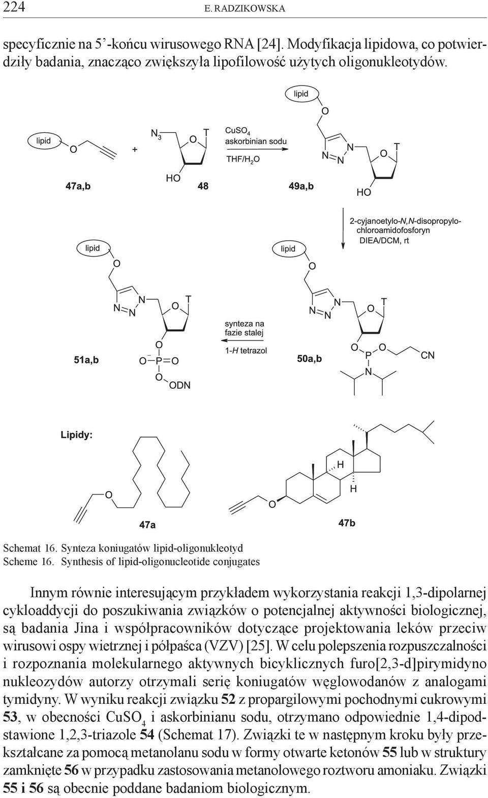 Synthesis of lipid-oligonucleotide conjugates Innym równie interesuj¹cym przyk³adem wykorzystania reakcji 1,3-dipolarnej cykloaddycji do poszukiwania zwi¹zków o potencjalnej aktywnoœci biologicznej,