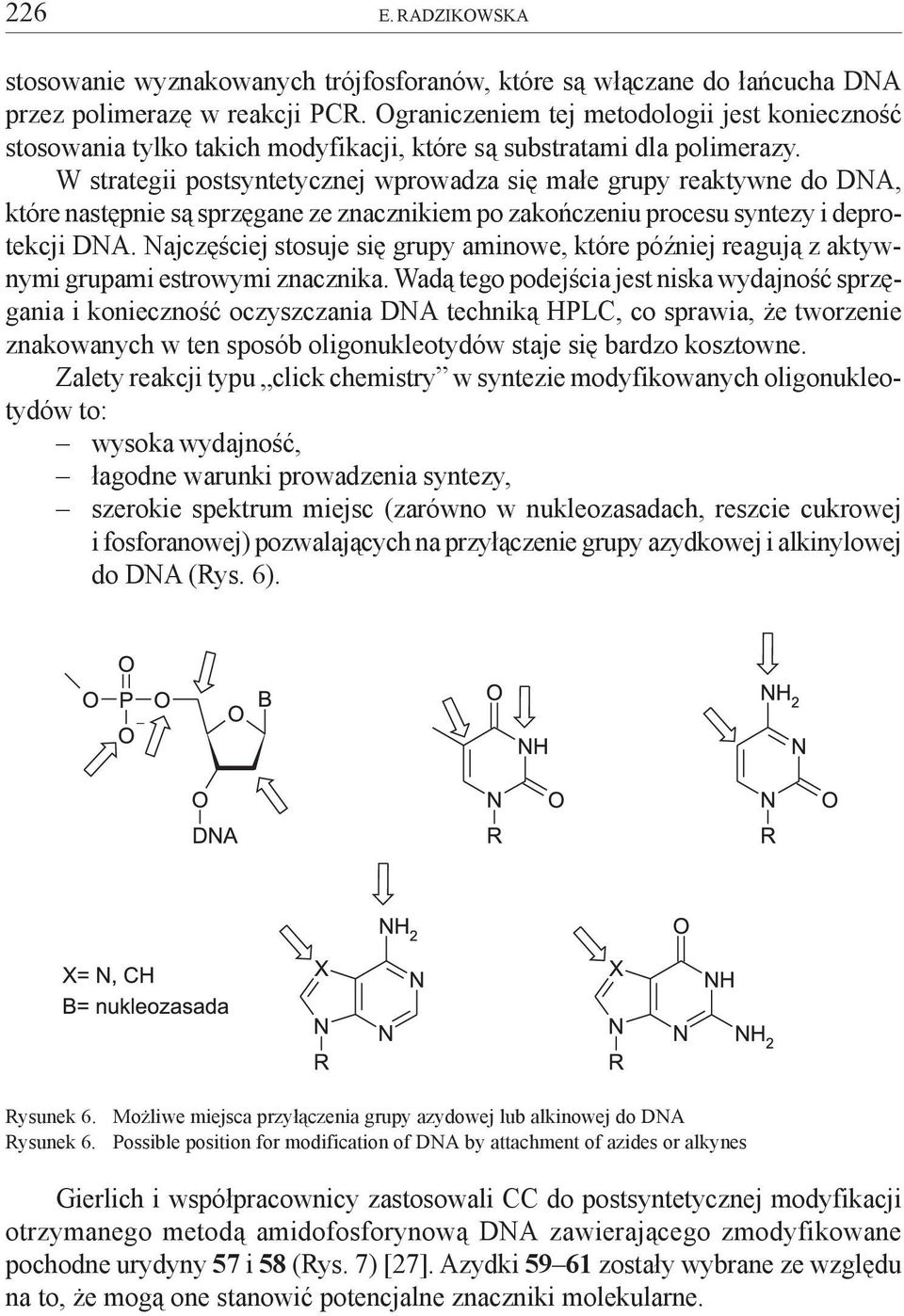 W strategii postsyntetycznej wprowadza siê ma³e grupy reaktywne do DNA, które nastêpnie s¹ sprzêgane ze znacznikiem po zakoñczeniu procesu syntezy i deprotekcji DNA.