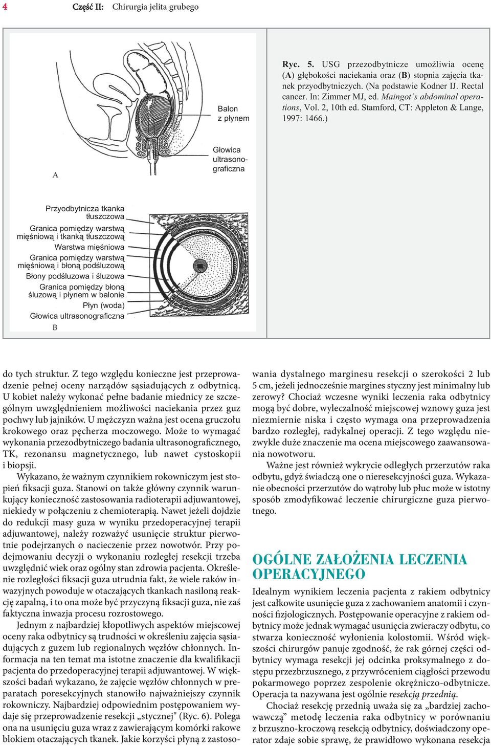 ) Głowica ultrasonograficzna Przyodbytnicza tkanka tłuszczowa Granica pomiędzy warstwą mięśniową i tkanką tłuszczową Warstwa mięśniowa Granica pomiędzy warstwą mięśniową i błoną podśluzową Błony