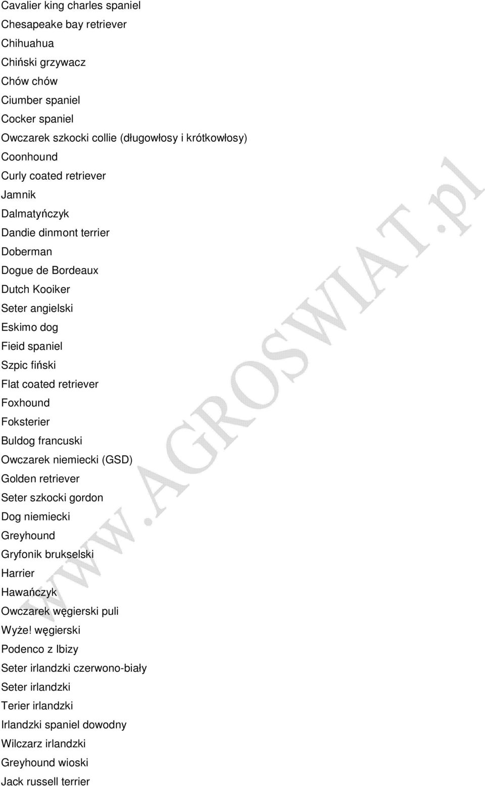 retriever Foxhound Foksterier Buldog francuski Owczarek niemiecki (GSD) Golden retriever Seter szkocki gordon Dog niemiecki Greyhound Gryfonik brukselski Harrier Hawańczyk Owczarek
