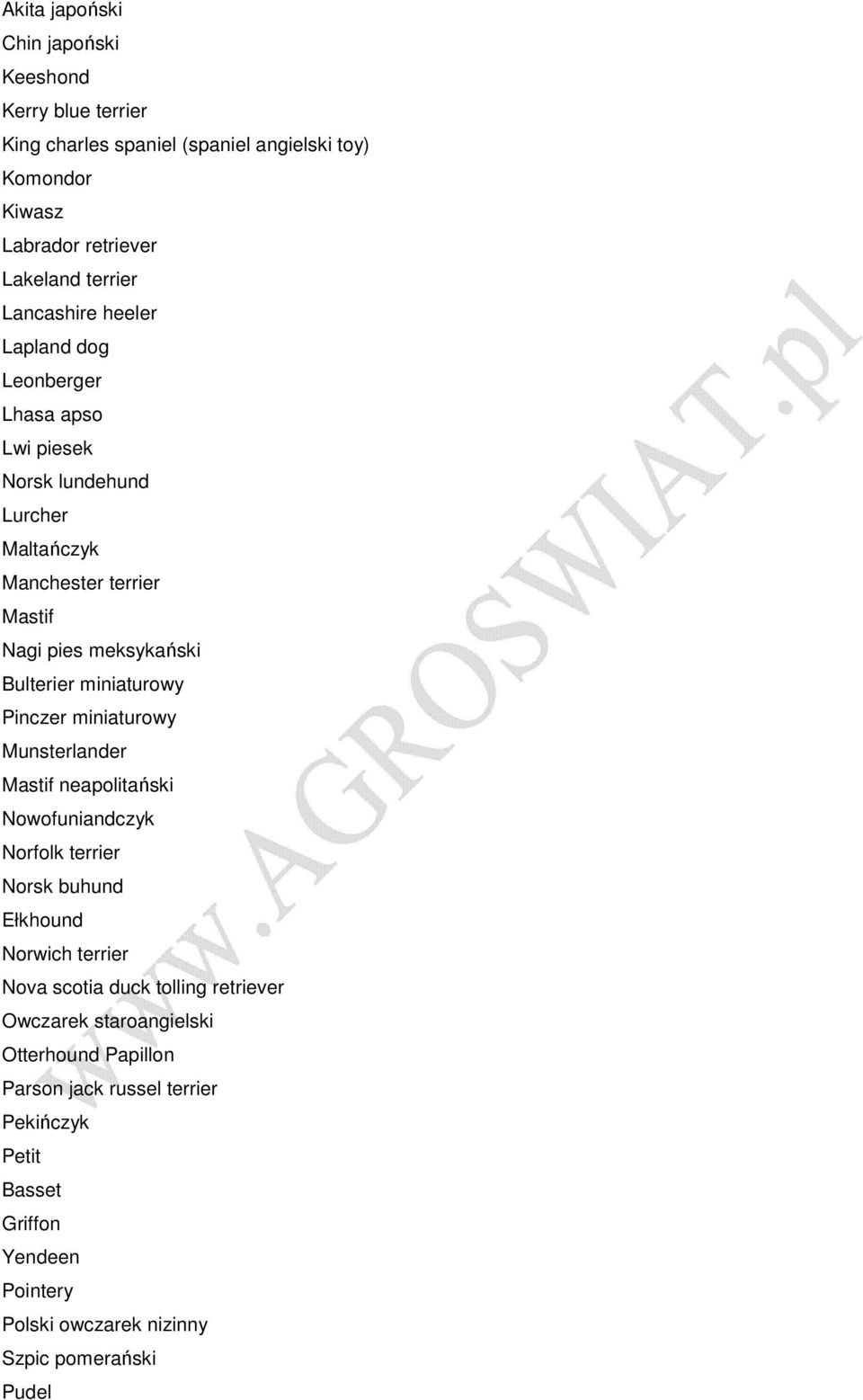 miniaturowy Pinczer miniaturowy Munsterlander Mastif neapolitański Nowofuniandczyk Norfolk terrier Norsk buhund Ełkhound Norwich terrier Nova scotia duck tolling