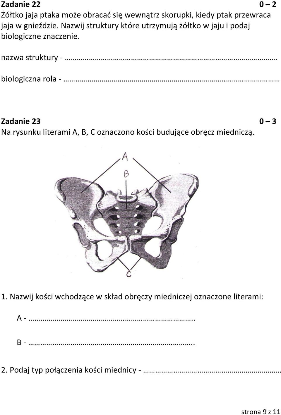 biologiczna rola - Zadanie 23 0 3 Na rysunku literami A, B, C oznaczono kości budujące obręcz miedniczą. 1.