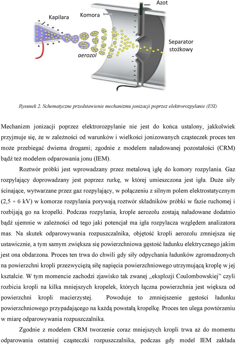 warunków i wielkości jonizowanych cząsteczek proces ten może przebiegać dwiema drogami; zgodnie z modelem naładowanej pozostałości (CRM) bądź też modelem odparowania jonu (IEM).