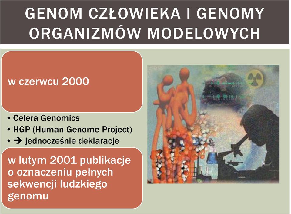 Project) jednocześnie deklaracje w lutym 2001