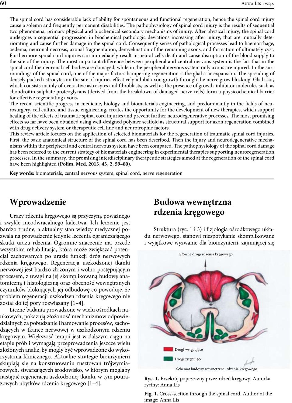 After physical injury, the spinal cord undergoes a sequential progression in biochemical pathologic deviations increasing after injury, that are mutually deteriorating and cause further damage in the