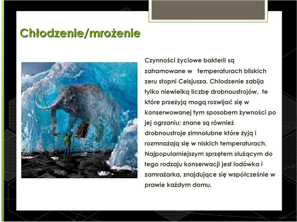 żywności po jej ogrzaniu; znane są również drobnoustroje zimnolubne które żyją i rozmnażają się w niskich temperaturach.