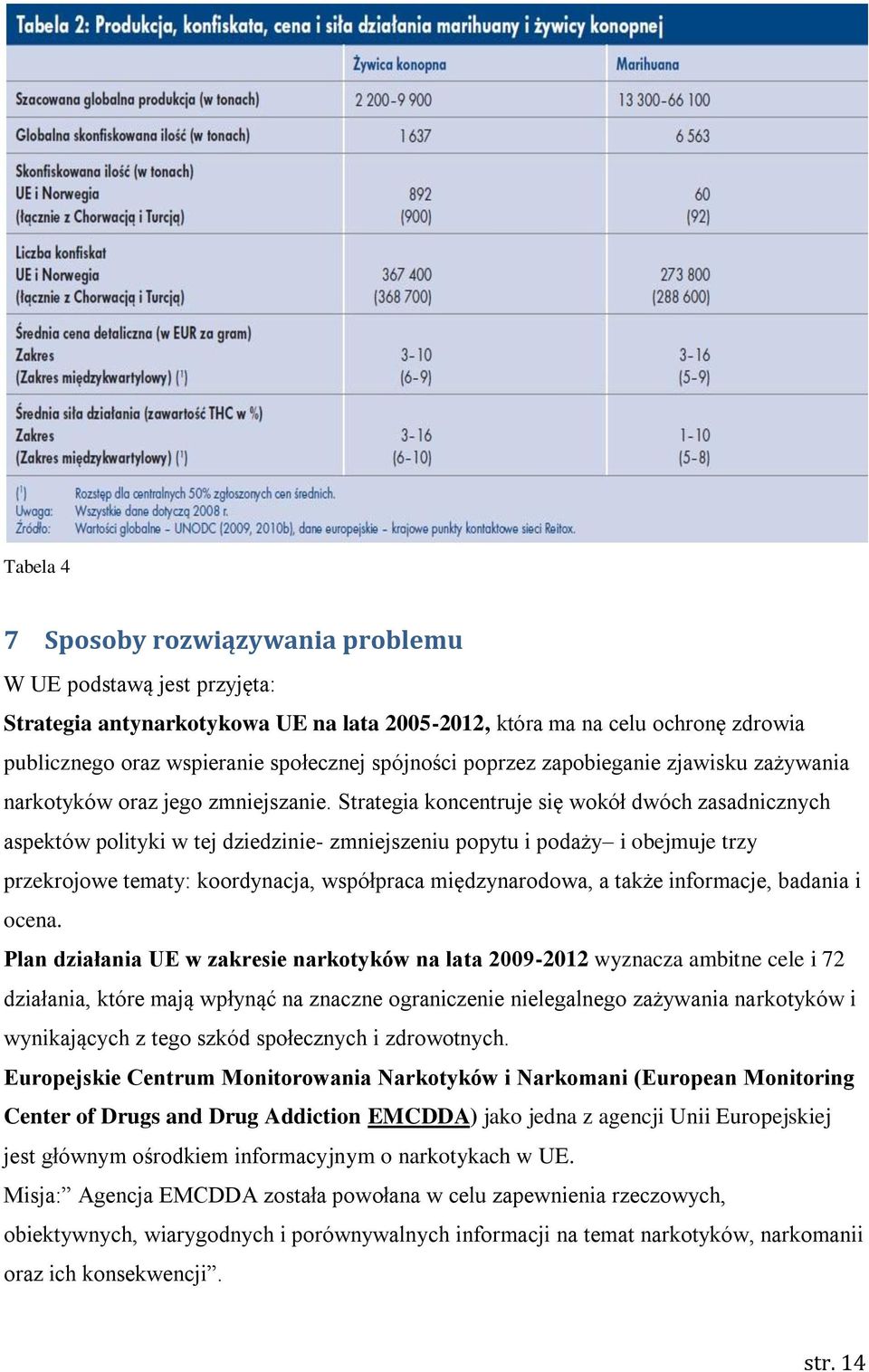 Strategia koncentruje się wokół dwóch zasadnicznych aspektów polityki w tej dziedzinie- zmniejszeniu popytu i podaży i obejmuje trzy przekrojowe tematy: koordynacja, współpraca międzynarodowa, a