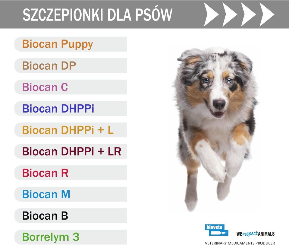 Biocan DHPPi + LR Biocan R Biocan M Biocan
