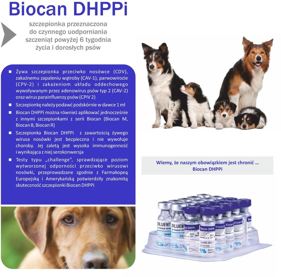 DHPPi można również aplikować jednocześnie z innymi szczepionkami z serii Biocan (Biocan M, Biocan B, Biocan R) Szczepionka Biocan DHPPi z zawartością żywego wirusa nosówki jest bezpieczna i nie