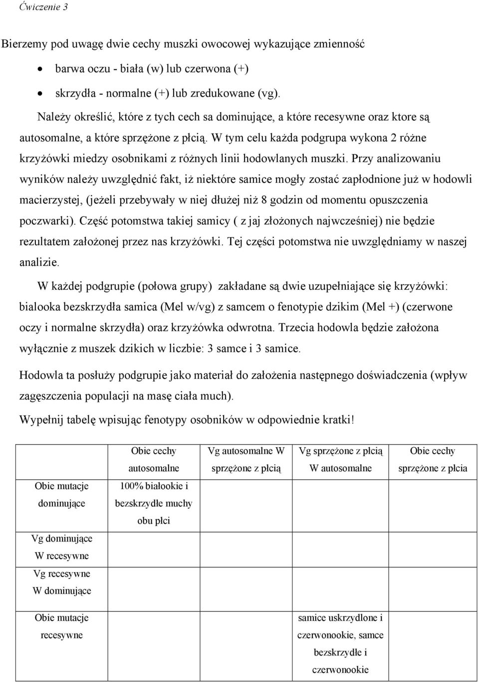 W tym celu każda podgrupa wykona 2 różne krzyżówki miedzy osobnikami z różnych linii hodowlanych muszki.