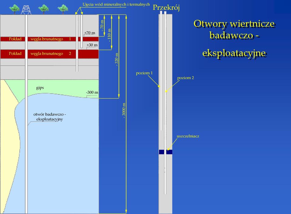 mineralnych i termalnych +30 m -110 m -320 m Przekrój eksploatacyjne