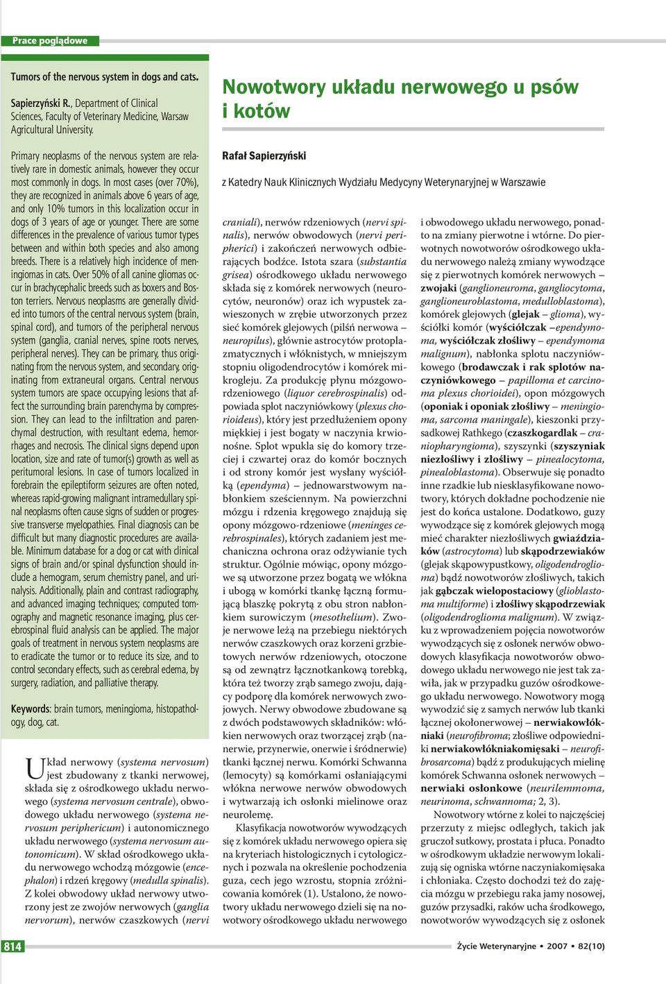 In most cases (over 70%), they are recognized in animals above 6 years of age, and only 10% tumors in this localization occur in dogs of 3 years of age or younger.