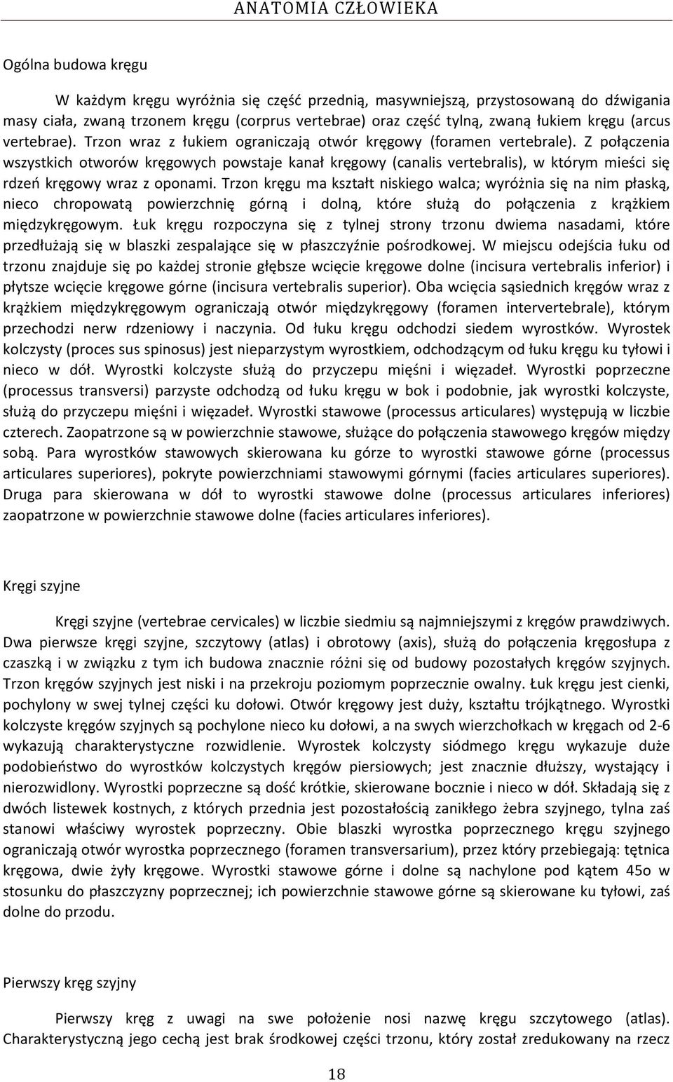 Z połączenia wszystkich otworów kręgowych powstaje kanał kręgowy (canalis vertebralis), w którym mieści się rdzeo kręgowy wraz z oponami.