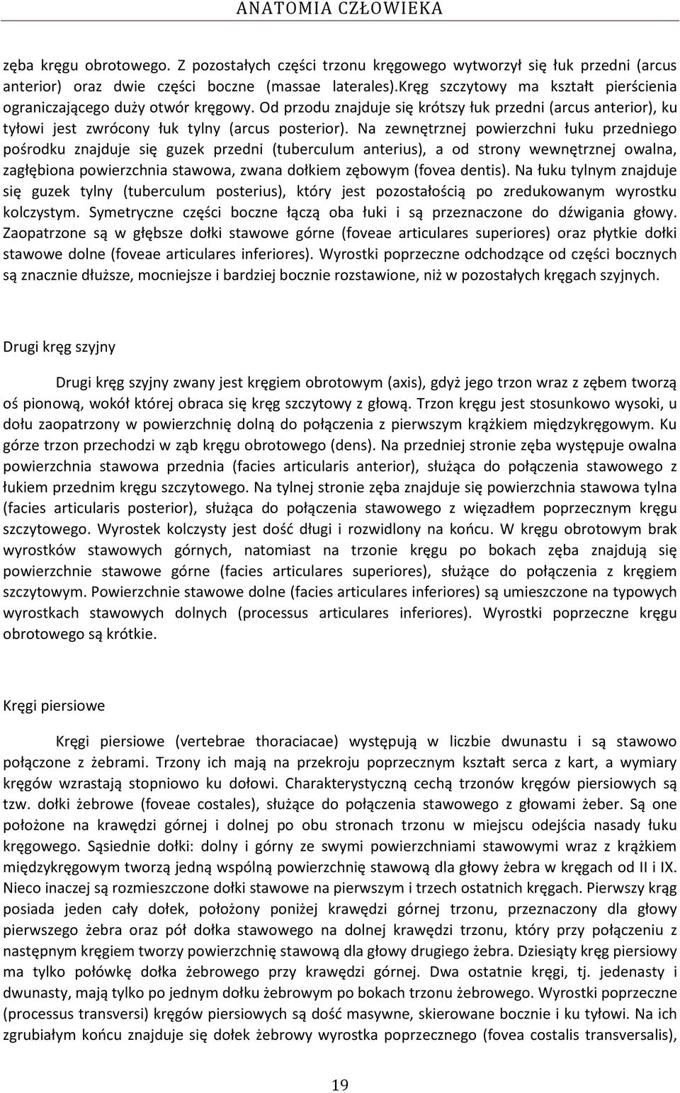 Na zewnętrznej powierzchni łuku przedniego pośrodku znajduje się guzek przedni (tuberculum anterius), a od strony wewnętrznej owalna, zagłębiona powierzchnia stawowa, zwana dołkiem zębowym (fovea