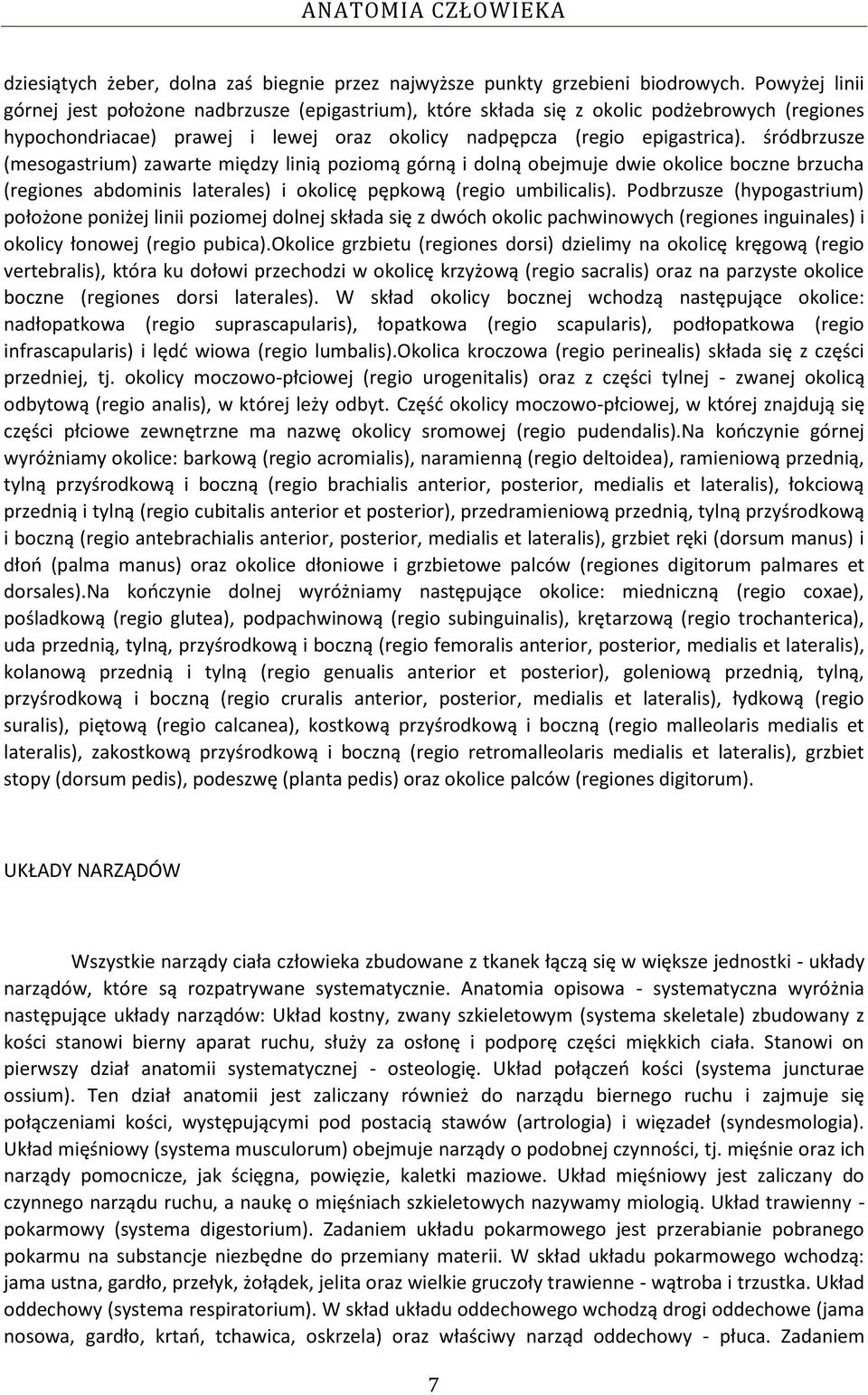 śródbrzusze (mesogastrium) zawarte między linią poziomą górną i dolną obejmuje dwie okolice boczne brzucha (regiones abdominis laterales) i okolicę pępkową (regio umbilicalis).