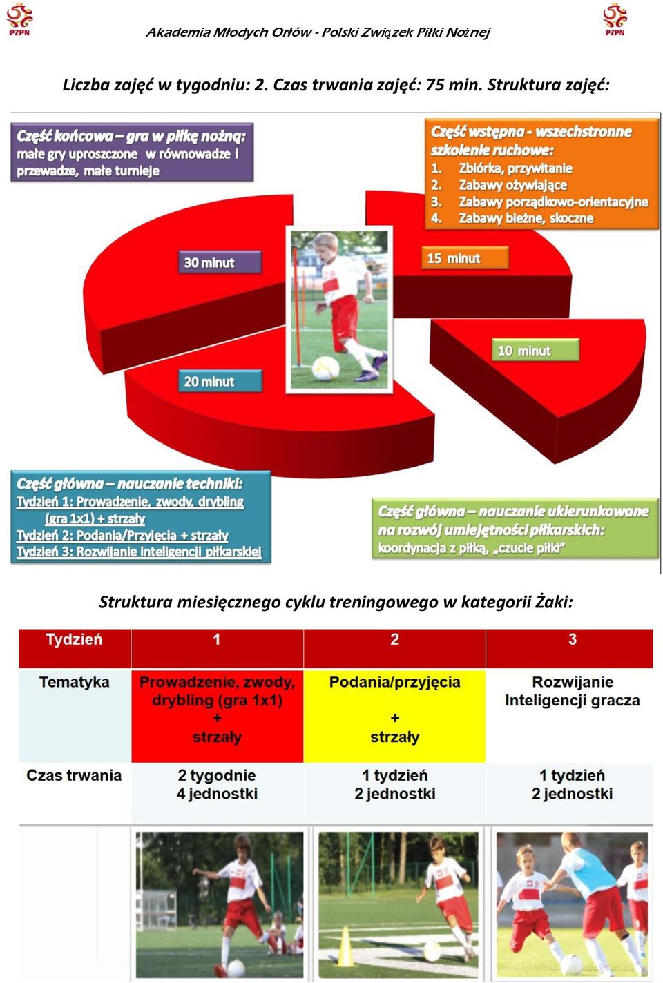 Struktura zajęć: Struktura