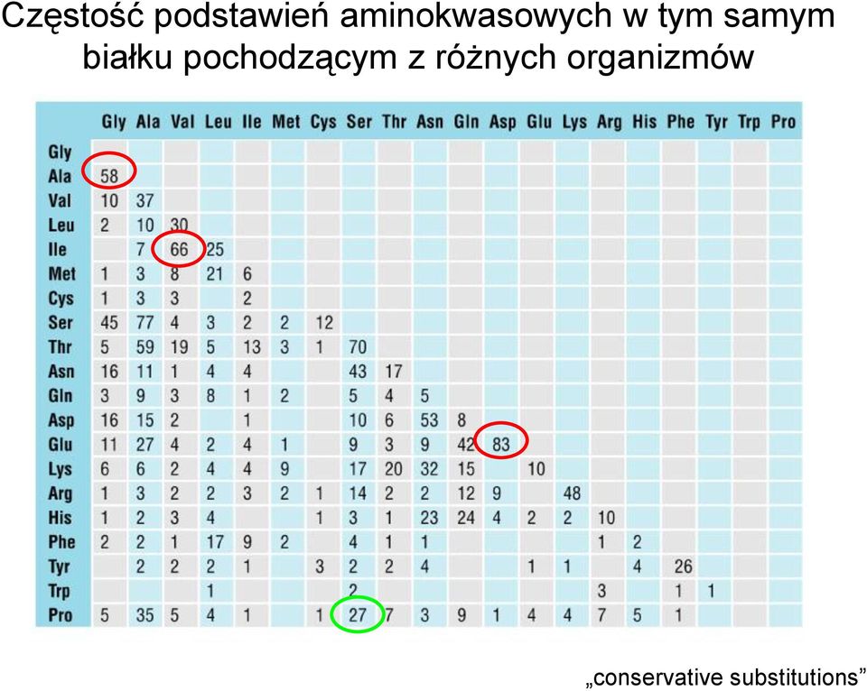 białku pochodzącym z różnych