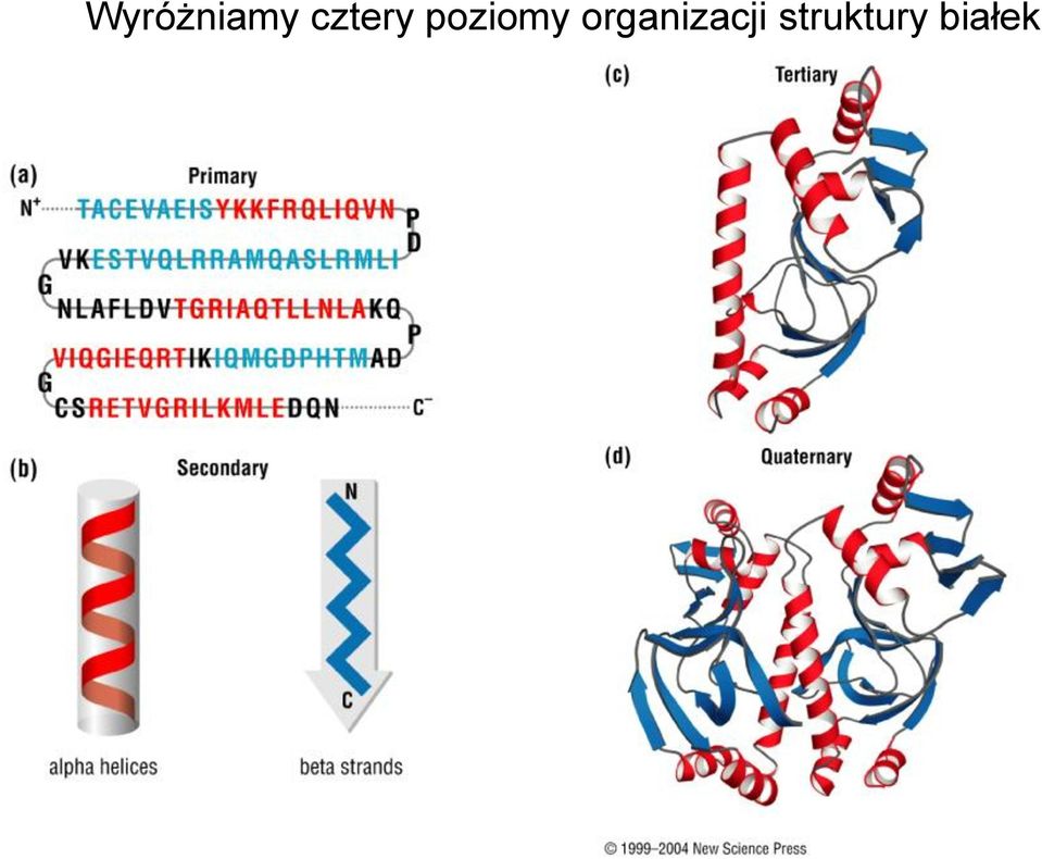 poziomy