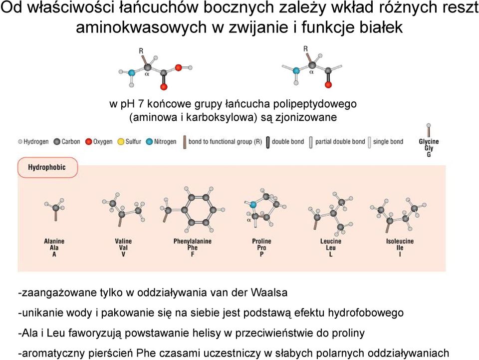 van der Waalsa -unikanie wody i pakowanie się na siebie jest podstawą efektu hydrofobowego -Ala i Leu faworyzują