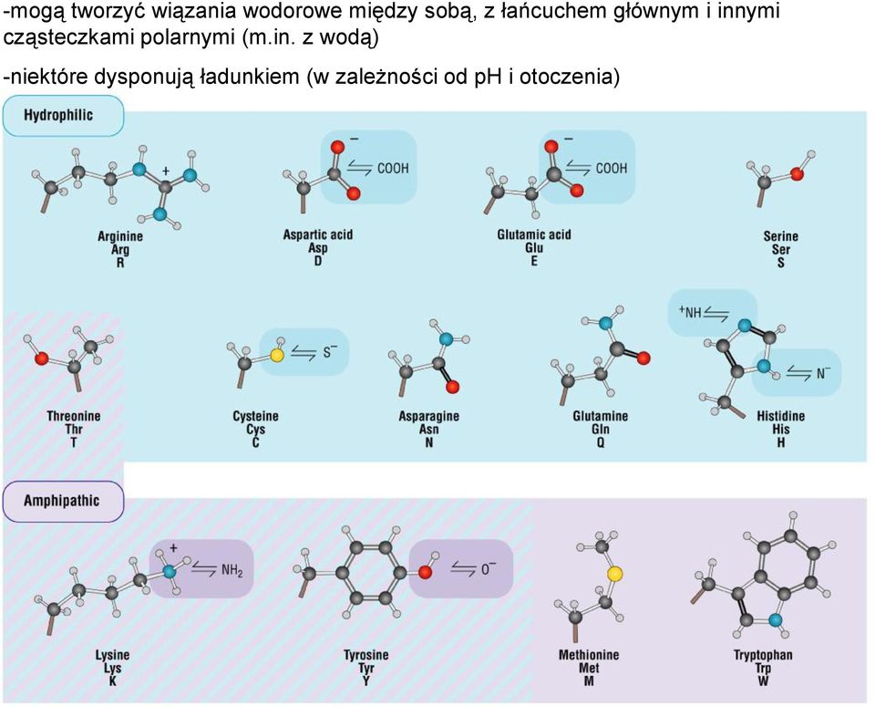 cząsteczkami polarnymi (m.in.