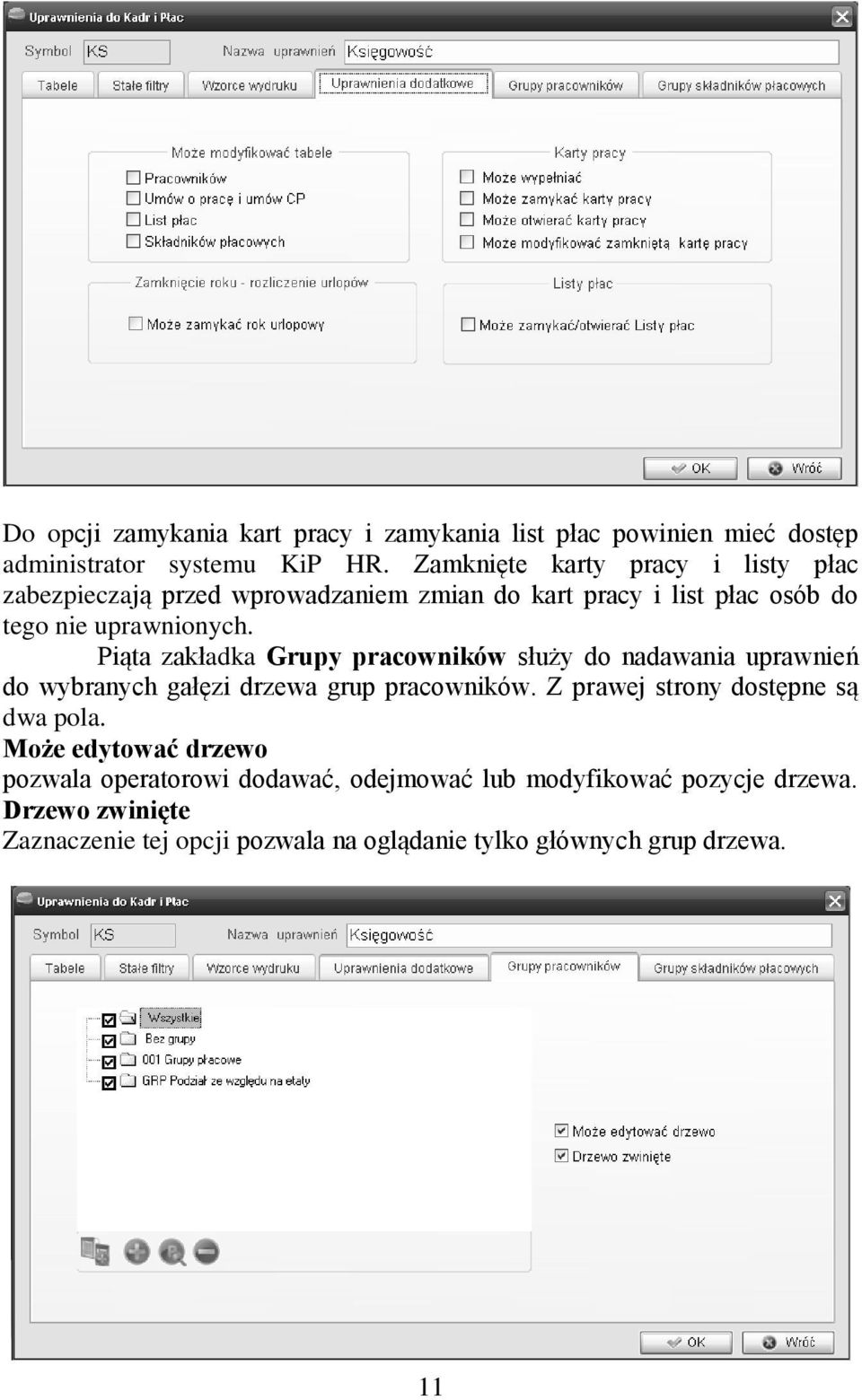 Piąta zakładka Grupy pracowników służy do nadawania uprawnień do wybranych gałęzi drzewa grup pracowników.