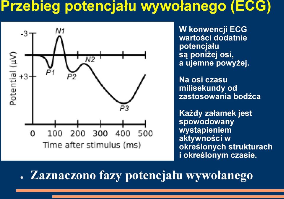 Na osi czasu milisekundy od zastosowania bodźca Każdy załamek jest