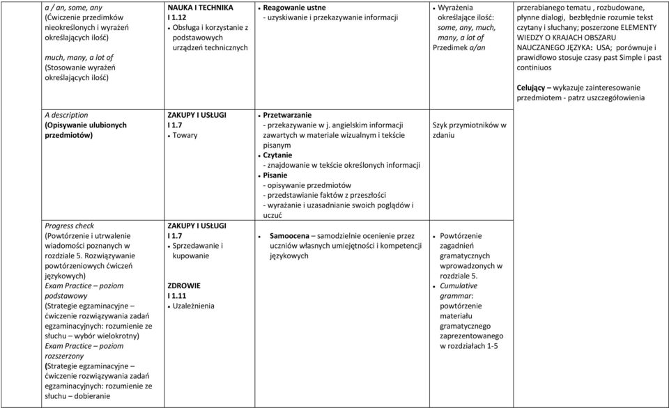 rozbudowane, płynne dialogi, bezbłędnie rozumie tekst czytany i słuchany; poszerzone ELEMENTY WIEDZY O KRAJACH OBSZARU NAUCZANEGO JĘZYKA: USA; porównuje i prawidłowo stosuje czasy past Simple i past