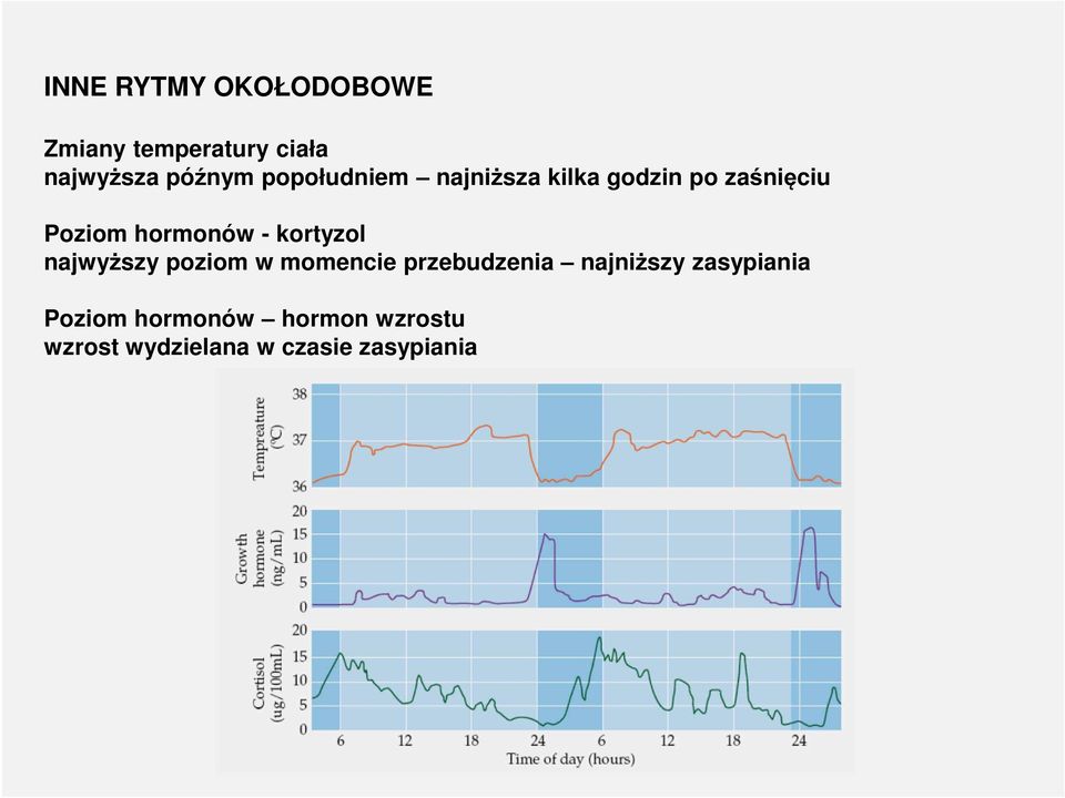 kortyzol najwyższy poziom w momencie przebudzenia najniższy