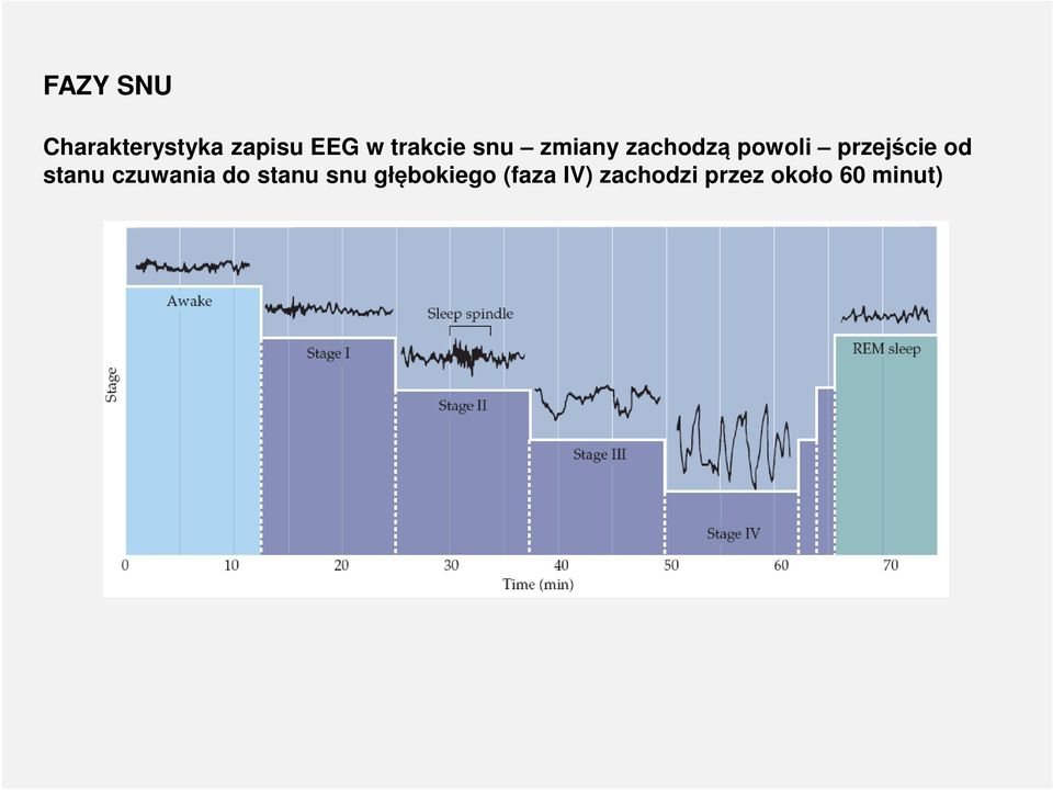 przejście od stanu czuwania do stanu snu