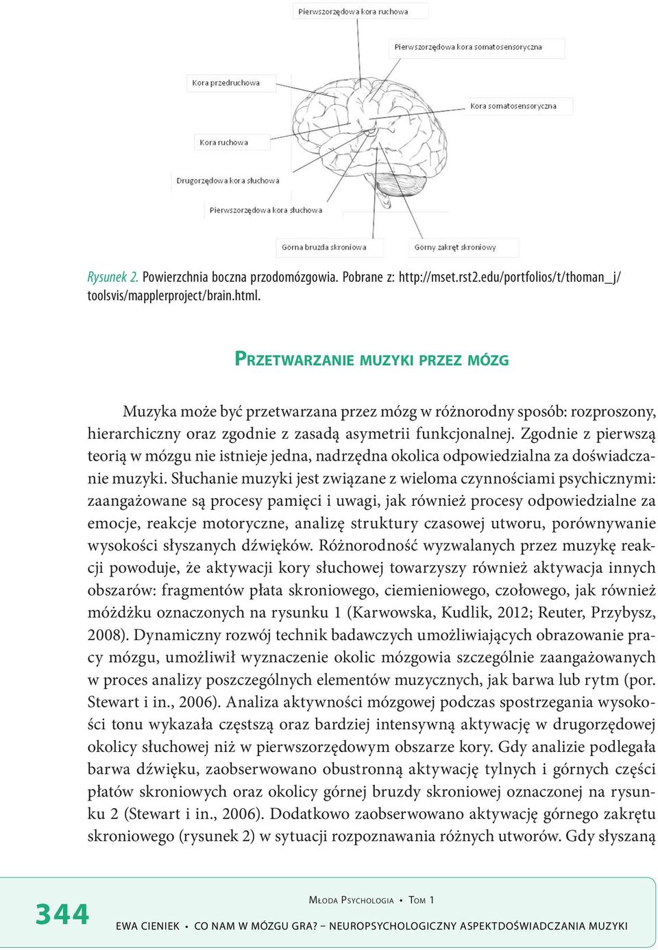 Zgodnie z pierwszą teorią w mózgu nie istnieje jedna, nadrzędna okolica odpowiedzialna za doświadczanie muzyki.