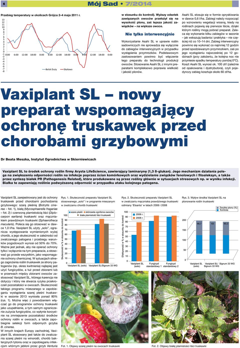 Wyższy odsetek zawiązanych owoców przełożył się na wysokość plonu, zaś lepsza jakość zawiązków na większe owoce.