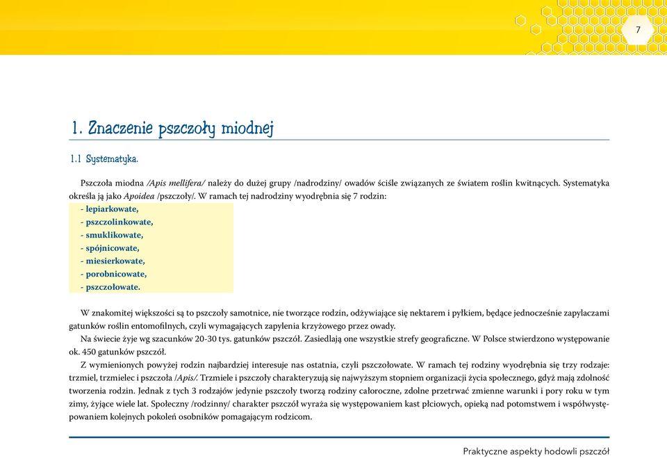 W ramach tej nadrodziny wyodrębnia się 7 rodzin: - lepiarkowate, - pszczolinkowate, - smuklikowate, - spójnicowate, - miesierkowate, - porobnicowate, - pszczołowate.