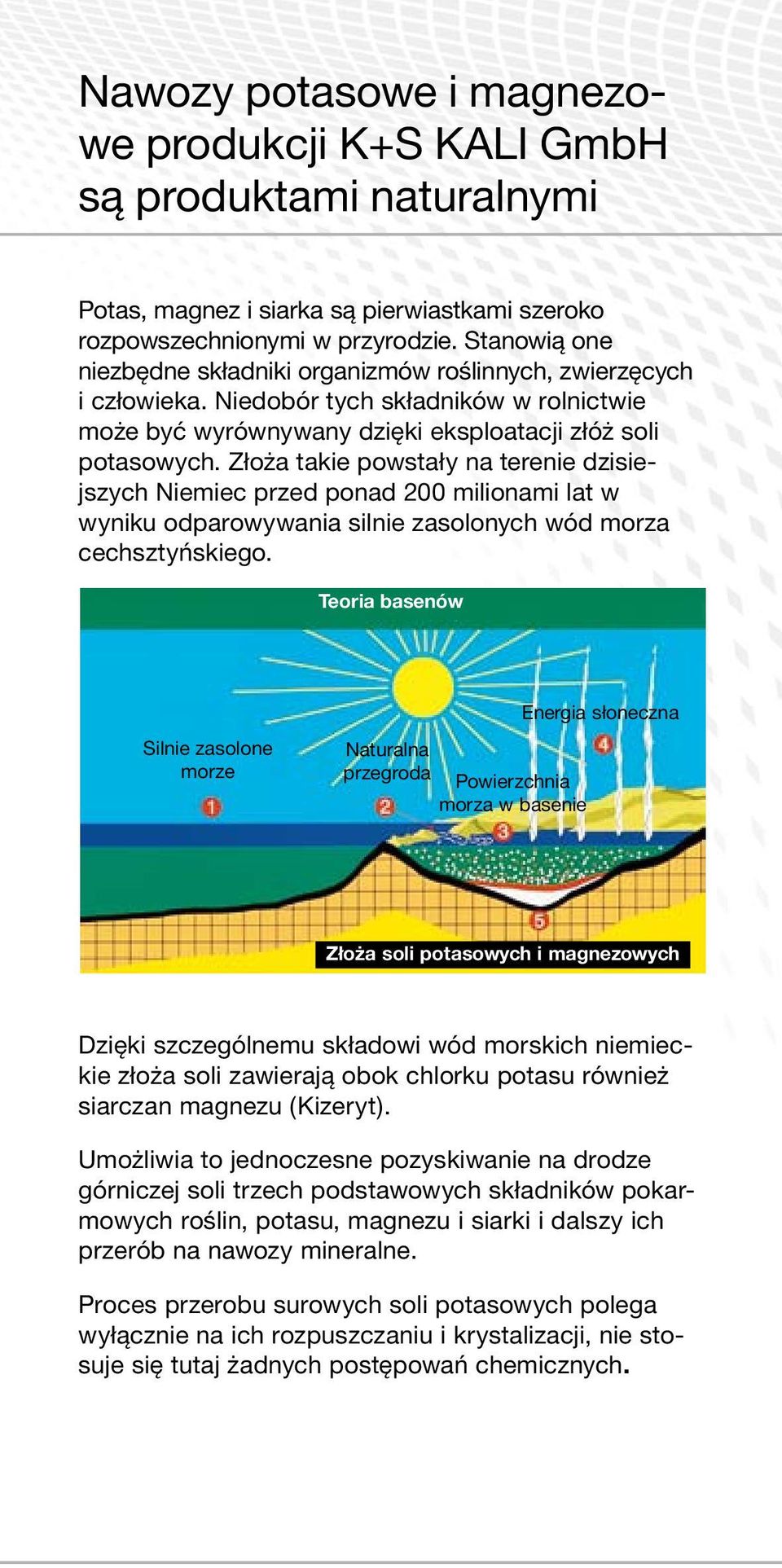 Złoża takie powstały na terenie dzisiejszych Niemiec przed ponad 200 milionami lat w wyniku odparowywania silnie zasolonych wód morza cechsztyńskiego.