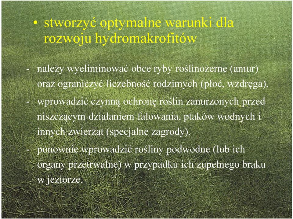 zanurzonych przed niszczącym działaniem falowania, ptaków wodnych i innych zwierząt (specjalne