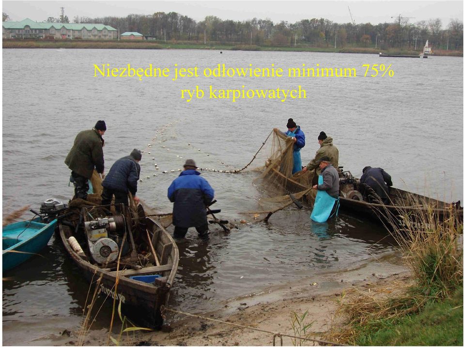 odłowienie