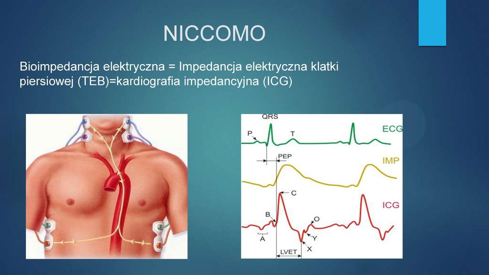 elektryczna klatki