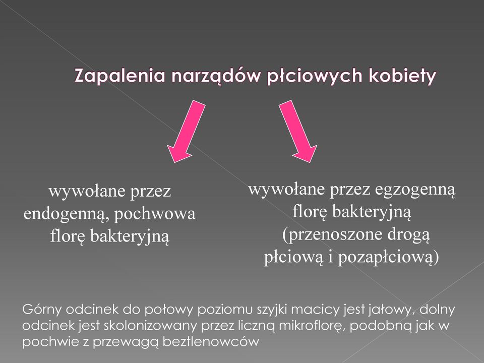 odcinek do połowy poziomu szyjki macicy jest jałowy, dolny odcinek jest