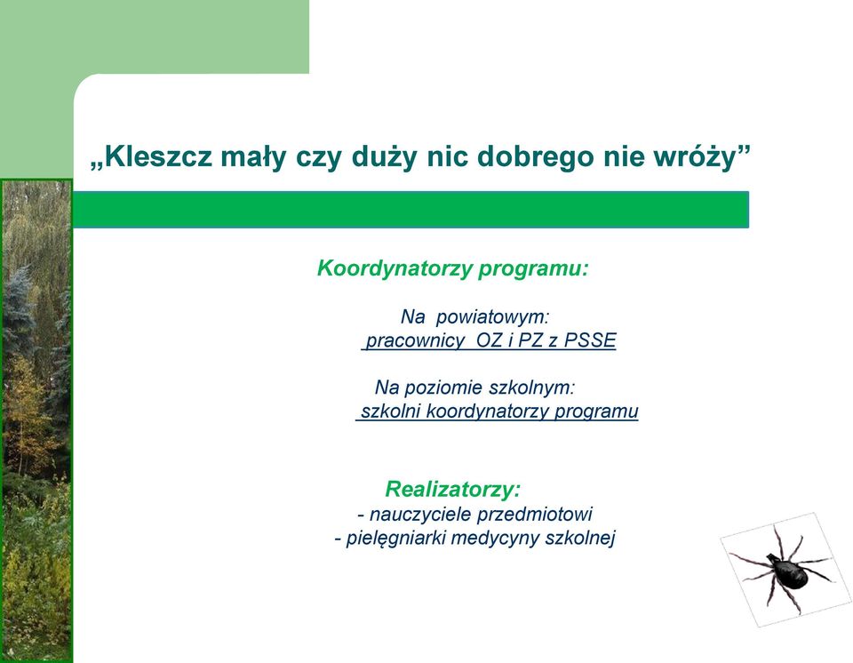 poziomie szkolnym: szkolni koordynatorzy programu