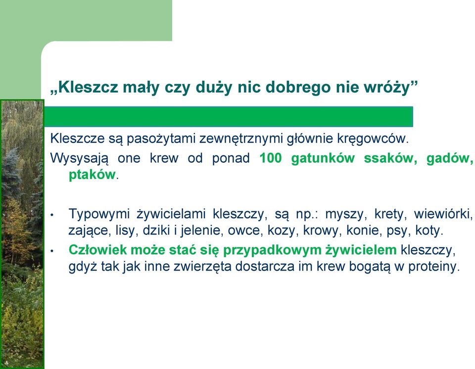 : myszy, krety, wiewiórki, zające, lisy, dziki i jelenie, owce, kozy, krowy, konie, psy, koty.