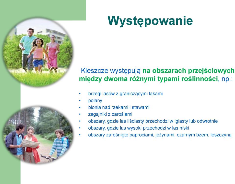 : brzegi lasów z graniczącymi łąkami polany błonia nad rzekami i stawami zagajniki z