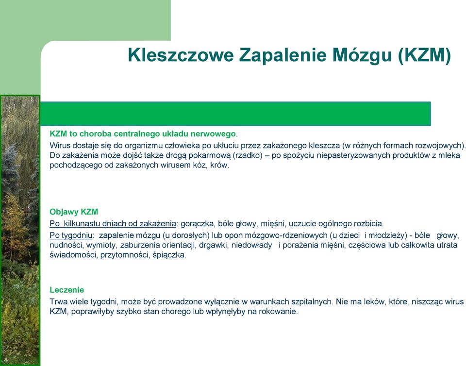 Objawy KZM Po kilkunastu dniach od zakażenia: gorączka, bóle głowy, mięśni, uczucie ogólnego rozbicia.