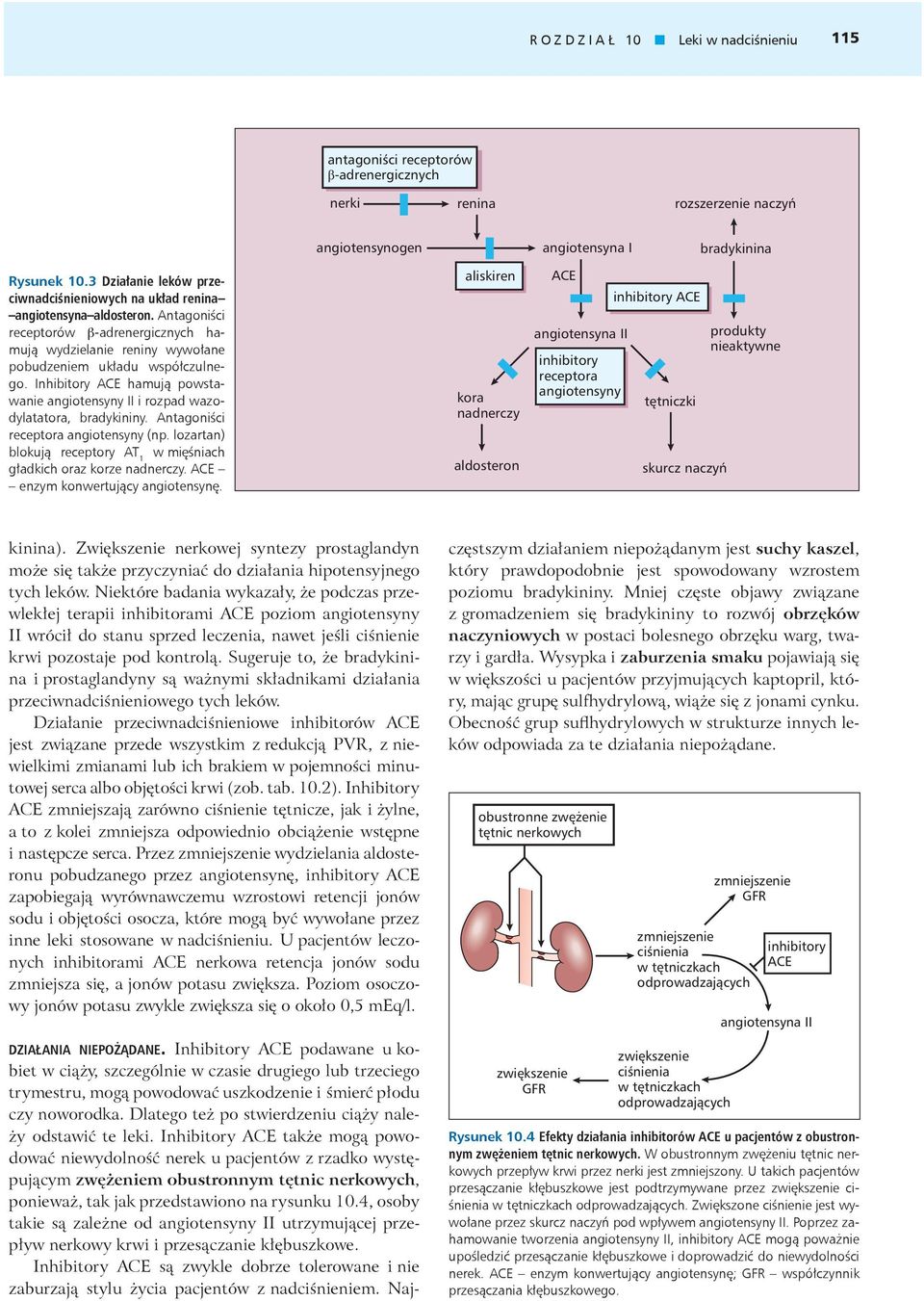 Inhibitory ACE hamują powstawanie angiotensyny II i rozpad wazodylatatora, bradykininy. Antagoniści receptora angiotensyny (np.