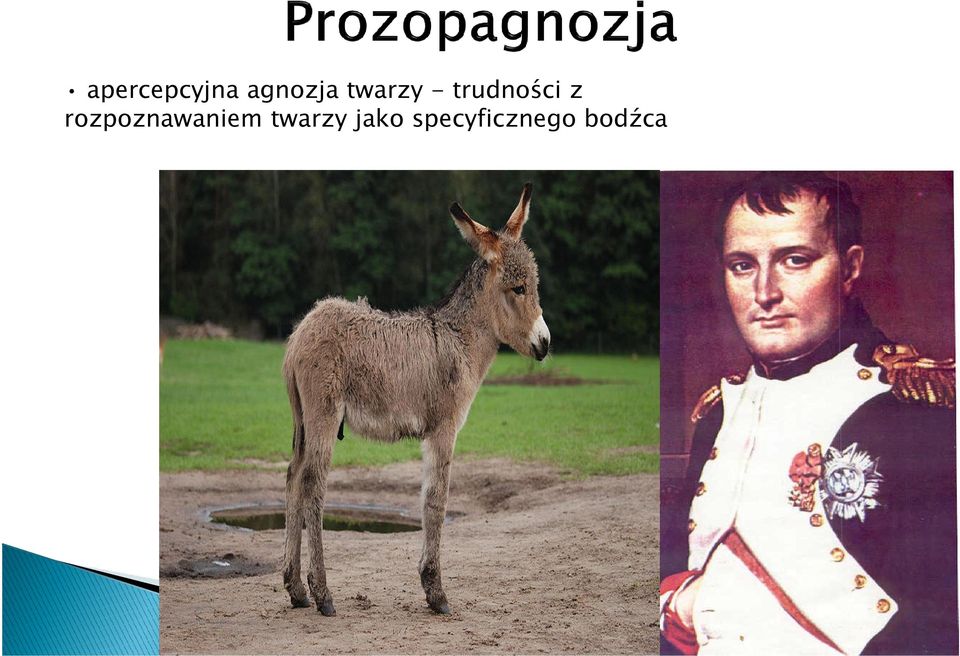rozpoznawaniem twarzy